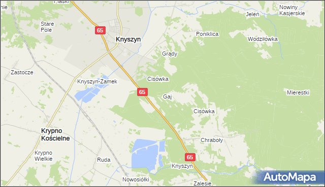 mapa Gaj gmina Dobrzyniewo Duże, Gaj gmina Dobrzyniewo Duże na mapie Targeo