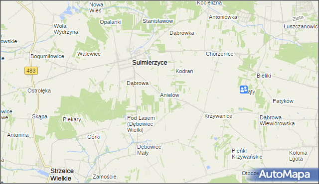 mapa Anielów gmina Sulmierzyce, Anielów gmina Sulmierzyce na mapie Targeo