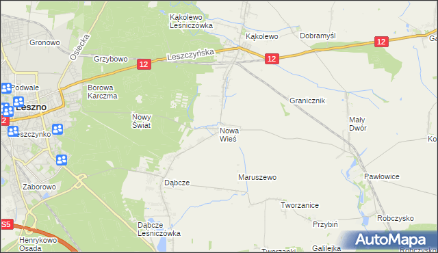 mapa Nowa Wieś gmina Rydzyna, Nowa Wieś gmina Rydzyna na mapie Targeo