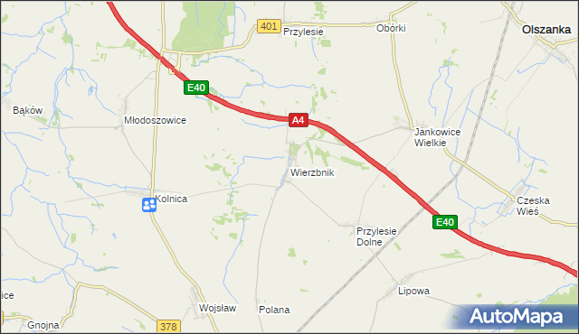 mapa Wierzbnik gmina Grodków, Wierzbnik gmina Grodków na mapie Targeo