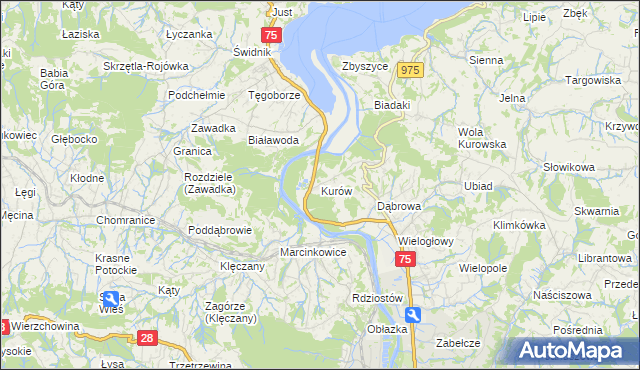 mapa Kurów gmina Chełmiec, Kurów gmina Chełmiec na mapie Targeo