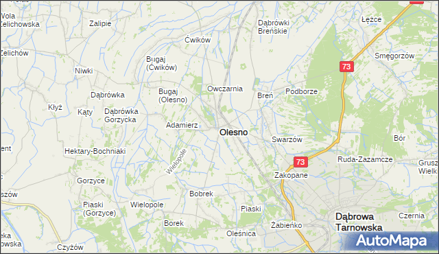 mapa Olesno powiat dąbrowski, Olesno powiat dąbrowski na mapie Targeo