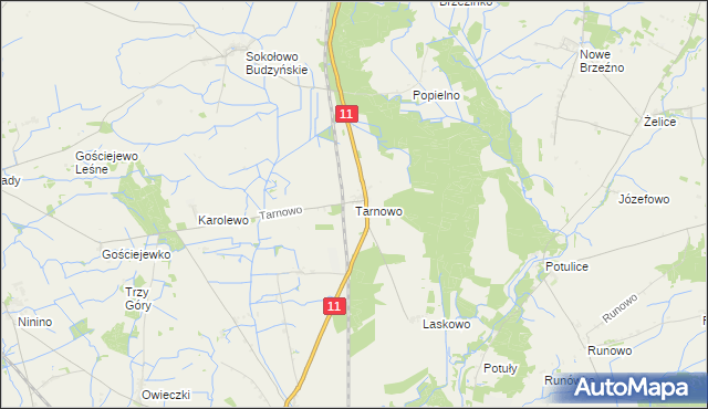 mapa Tarnowo gmina Rogoźno, Tarnowo gmina Rogoźno na mapie Targeo