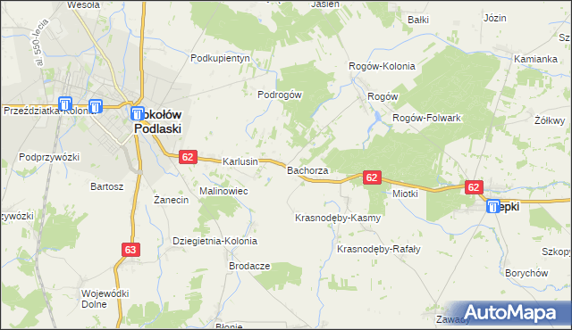 mapa Bachorza gmina Sokołów Podlaski, Bachorza gmina Sokołów Podlaski na mapie Targeo