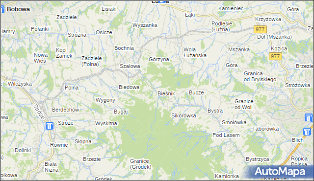 mapa Bieśnik gmina Łużna, Bieśnik gmina Łużna na mapie Targeo