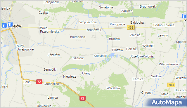 mapa Kobylniki gmina Poddębice, Kobylniki gmina Poddębice na mapie Targeo