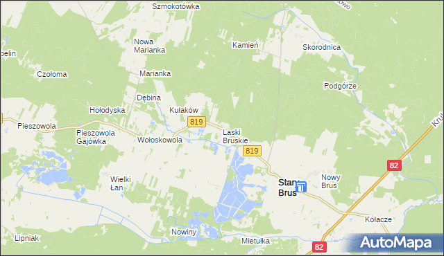 mapa Laski Bruskie, Laski Bruskie na mapie Targeo