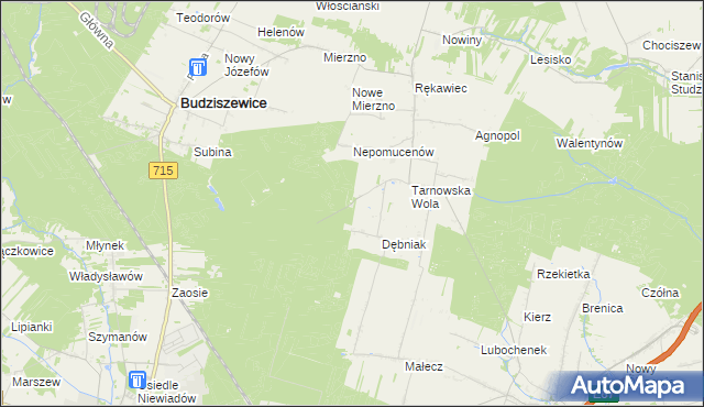 mapa Leszczyny gmina Ujazd, Leszczyny gmina Ujazd na mapie Targeo