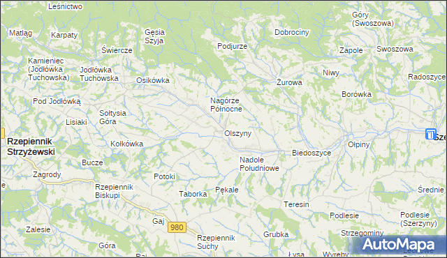 mapa Olszyny gmina Rzepiennik Strzyżewski, Olszyny gmina Rzepiennik Strzyżewski na mapie Targeo