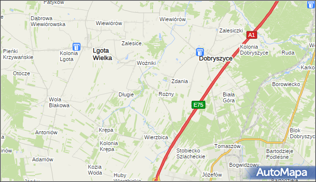 mapa Rożny, Rożny na mapie Targeo