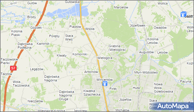 mapa Wielogóra gmina Jedlińsk, Wielogóra gmina Jedlińsk na mapie Targeo
