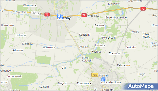 mapa Zalesie gmina Brzeziny, Zalesie gmina Brzeziny na mapie Targeo