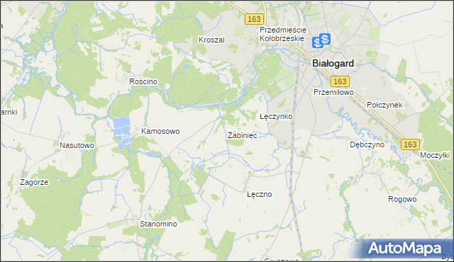 mapa Żabiniec gmina Białogard, Żabiniec gmina Białogard na mapie Targeo