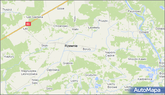 mapa Boruty gmina Rzewnie, Boruty gmina Rzewnie na mapie Targeo