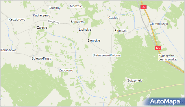 mapa Białaszewo-Kolonia, Białaszewo-Kolonia na mapie Targeo