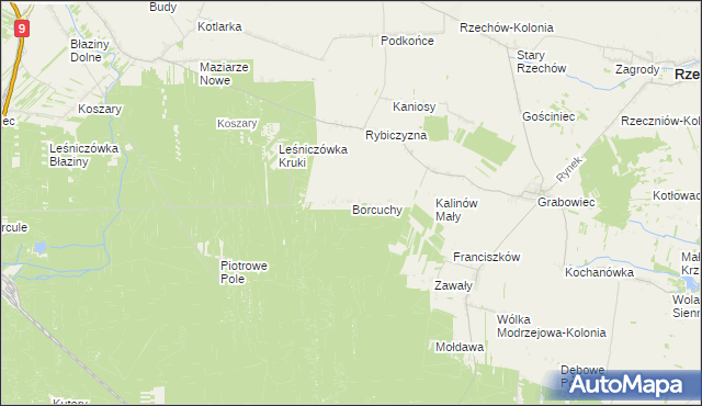 mapa Borcuchy gmina Rzeczniów, Borcuchy gmina Rzeczniów na mapie Targeo