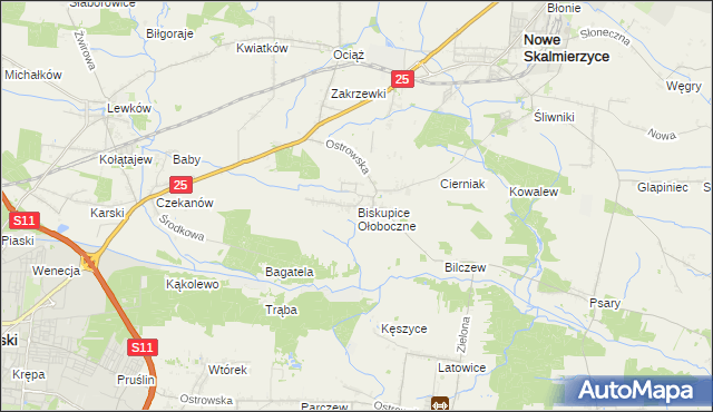 mapa Biskupice Ołoboczne, Biskupice Ołoboczne na mapie Targeo