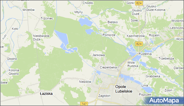 mapa Jankowa gmina Opole Lubelskie, Jankowa gmina Opole Lubelskie na mapie Targeo