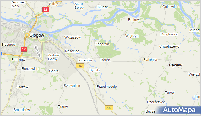 mapa Borek gmina Głogów, Borek gmina Głogów na mapie Targeo