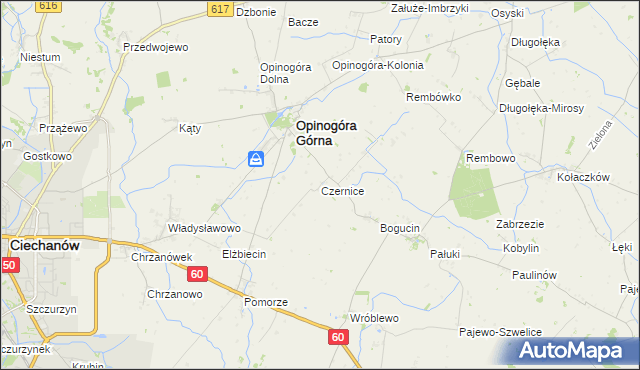 mapa Czernice gmina Opinogóra Górna, Czernice gmina Opinogóra Górna na mapie Targeo