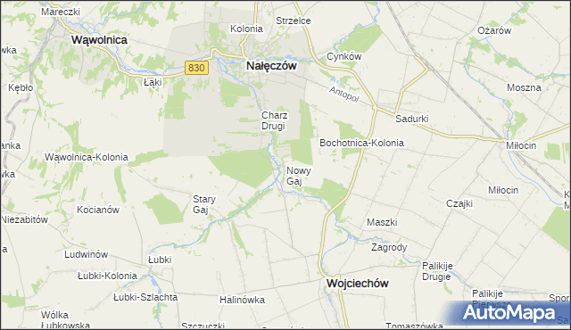 mapa Nowy Gaj gmina Wojciechów, Nowy Gaj gmina Wojciechów na mapie Targeo