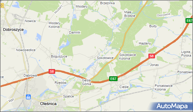 mapa Sokołowice gmina Oleśnica, Sokołowice gmina Oleśnica na mapie Targeo