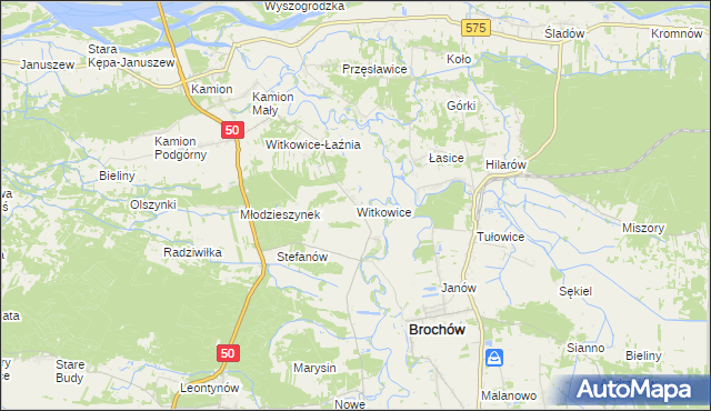 mapa Witkowice gmina Młodzieszyn, Witkowice gmina Młodzieszyn na mapie Targeo