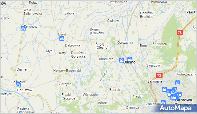 mapa Adamierz gmina Olesno, Adamierz gmina Olesno na mapie Targeo