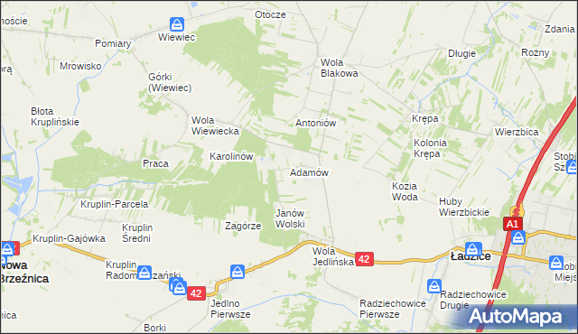 mapa Adamów gmina Ładzice, Adamów gmina Ładzice na mapie Targeo