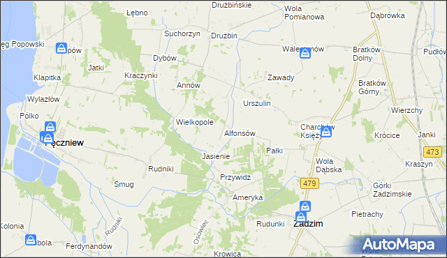 mapa Alfonsów gmina Zadzim, Alfonsów gmina Zadzim na mapie Targeo