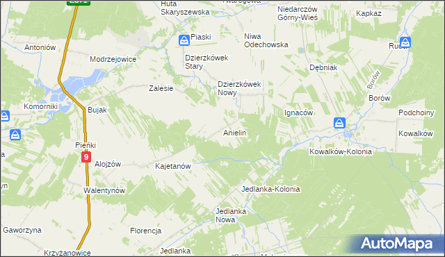 mapa Anielin gmina Skaryszew, Anielin gmina Skaryszew na mapie Targeo