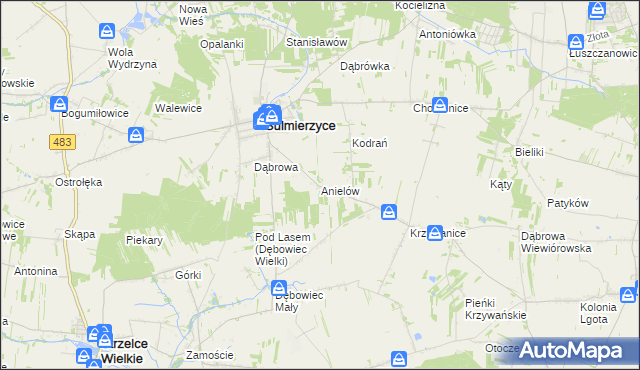 mapa Anielów gmina Sulmierzyce, Anielów gmina Sulmierzyce na mapie Targeo