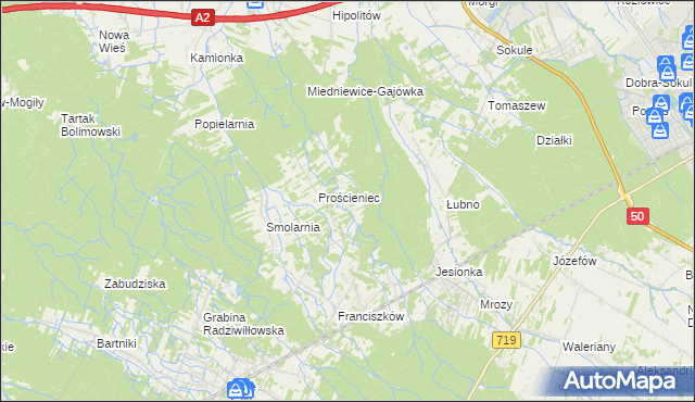 mapa Antoniew gmina Wiskitki, Antoniew gmina Wiskitki na mapie Targeo