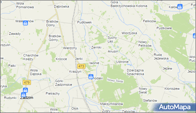 mapa Babiniec gmina Zadzim, Babiniec gmina Zadzim na mapie Targeo