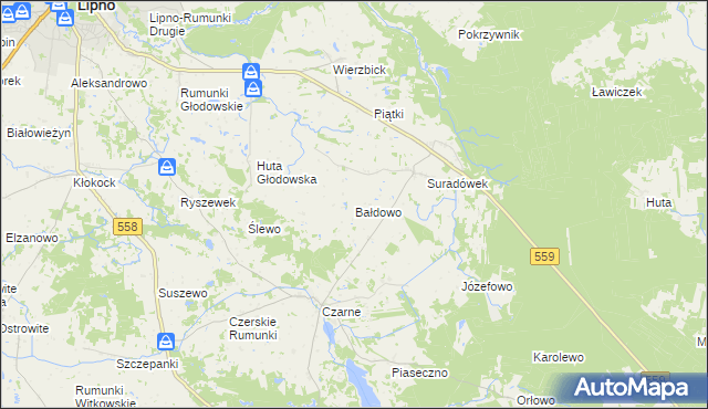 mapa Bałdowo gmina Wielgie, Bałdowo gmina Wielgie na mapie Targeo