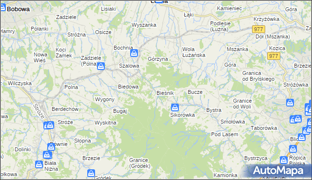 mapa Bieśnik gmina Łużna, Bieśnik gmina Łużna na mapie Targeo