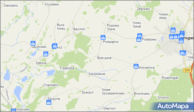 mapa Biskupice gmina Przemęt, Biskupice gmina Przemęt na mapie Targeo