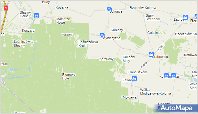mapa Borcuchy gmina Rzeczniów, Borcuchy gmina Rzeczniów na mapie Targeo