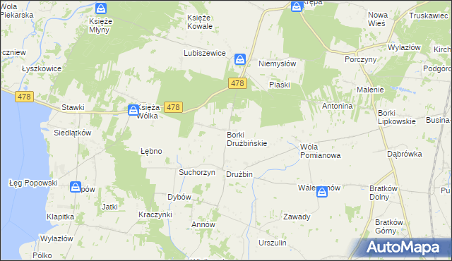 mapa Borki Drużbińskie, Borki Drużbińskie na mapie Targeo