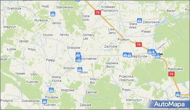 mapa Borki gmina Mniów, Borki gmina Mniów na mapie Targeo