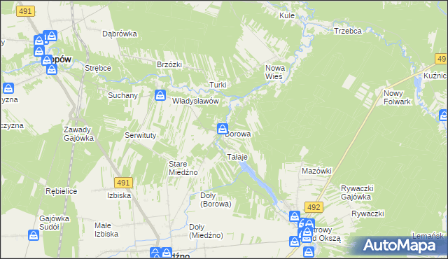 mapa Borowa gmina Miedźno, Borowa gmina Miedźno na mapie Targeo