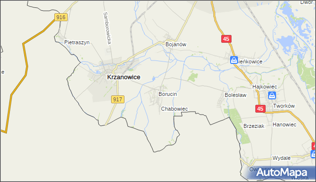 mapa Borucin gmina Krzanowice, Borucin gmina Krzanowice na mapie Targeo