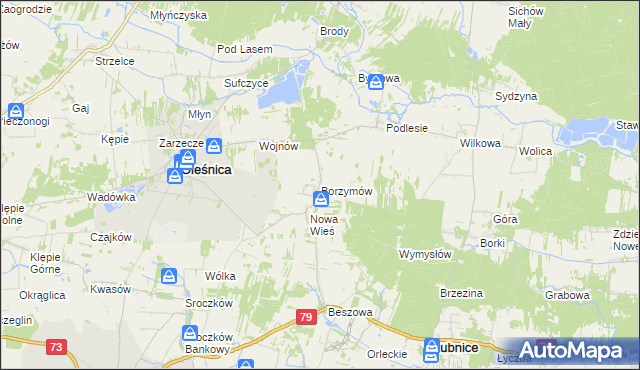 mapa Borzymów, Borzymów na mapie Targeo