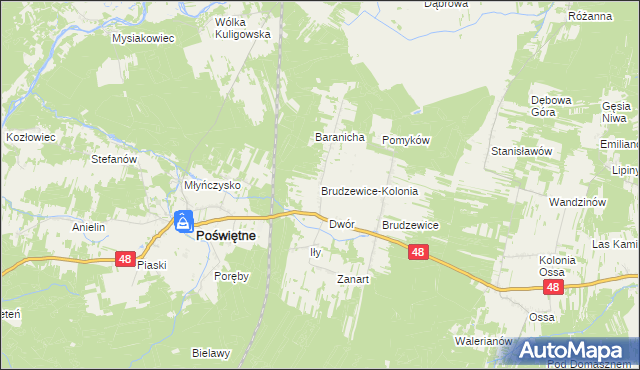 mapa Brudzewice-Kolonia, Brudzewice-Kolonia na mapie Targeo