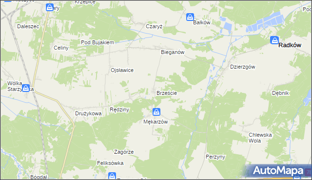 mapa Brzeście gmina Radków, Brzeście gmina Radków na mapie Targeo