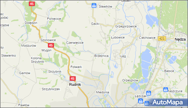 mapa Brzeźnica gmina Rudnik, Brzeźnica gmina Rudnik na mapie Targeo
