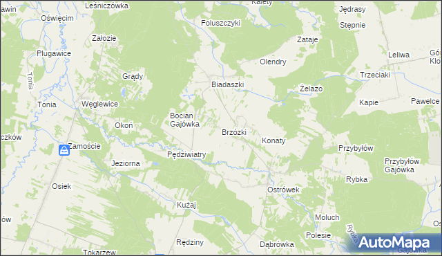 mapa Brzózki gmina Galewice, Brzózki gmina Galewice na mapie Targeo