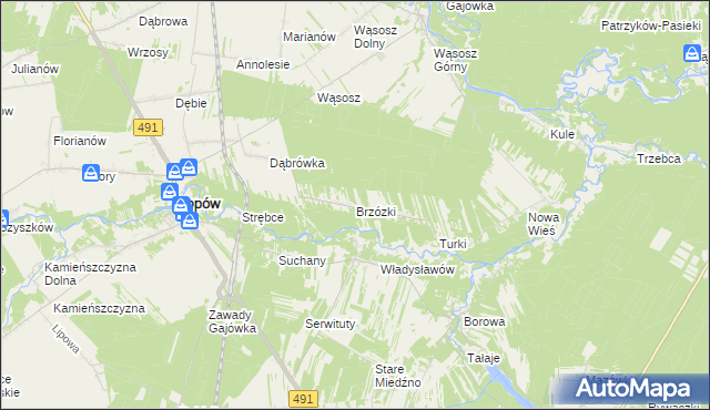 mapa Brzózki gmina Popów, Brzózki gmina Popów na mapie Targeo