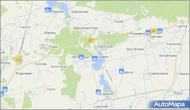 mapa Buszewo gmina Pniewy, Buszewo gmina Pniewy na mapie Targeo