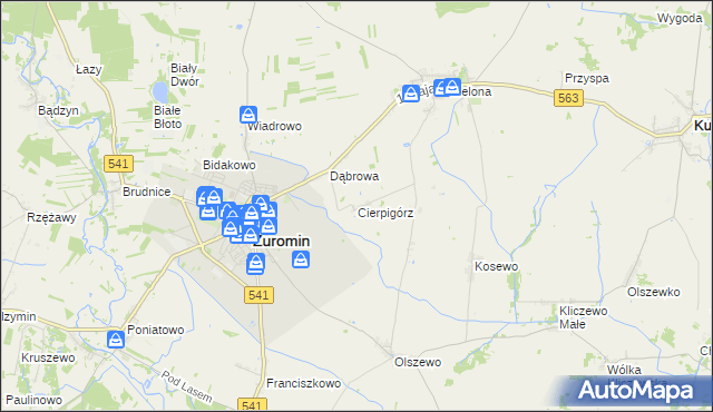 mapa Cierpigórz gmina Żuromin, Cierpigórz gmina Żuromin na mapie Targeo